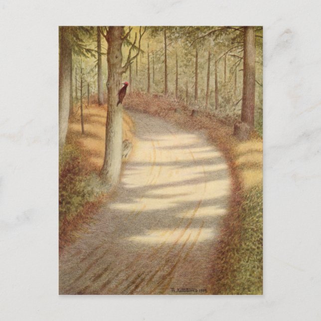 Woodpecker av Theodor Severin Kittelsen Vykort (Framsida)
