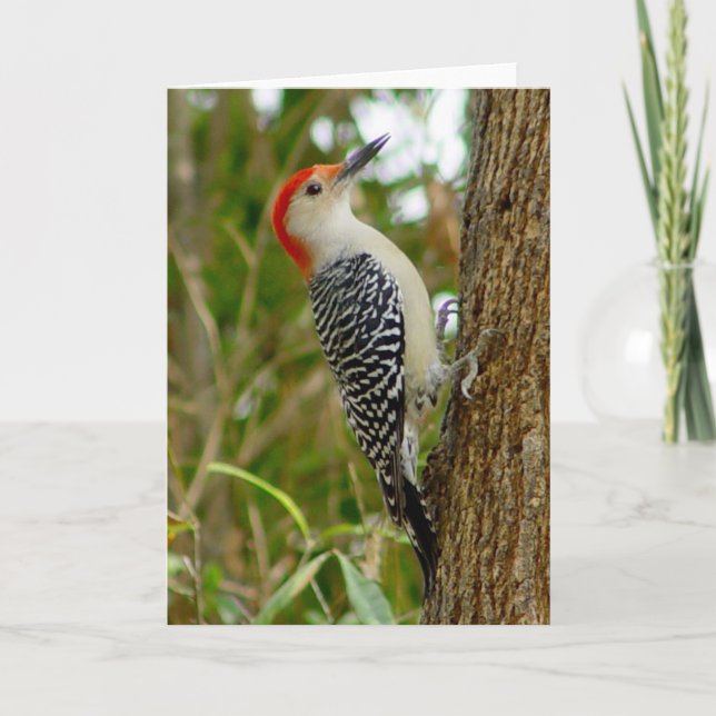 Woodpecker Bird Card Kort (Framsida)