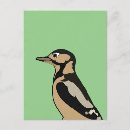 Woodpecker Bird Natature Art Vykort