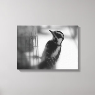 Woodpecker Canvastryck