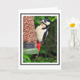 Woodpecker Hälsning Card Kort