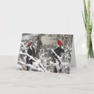 Woodpecker in Winter Kort