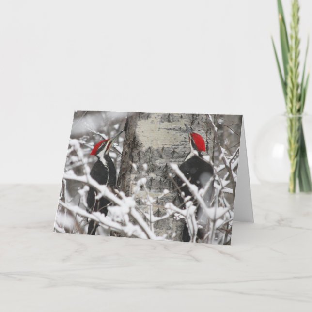 Woodpecker in Winter Kort (Framsida)