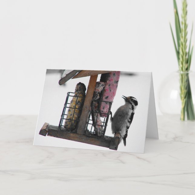 Woodpecker Kort (Framsida)