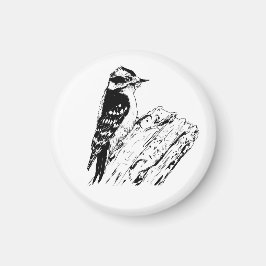 Woodpecker  magnet