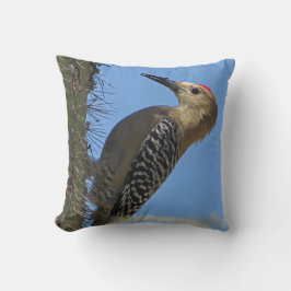 Woodpecker med Cactus Photo Desert Southwest Bird Kudde