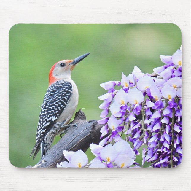 Woodpecker Mousepad Musmatta (Framsidan)
