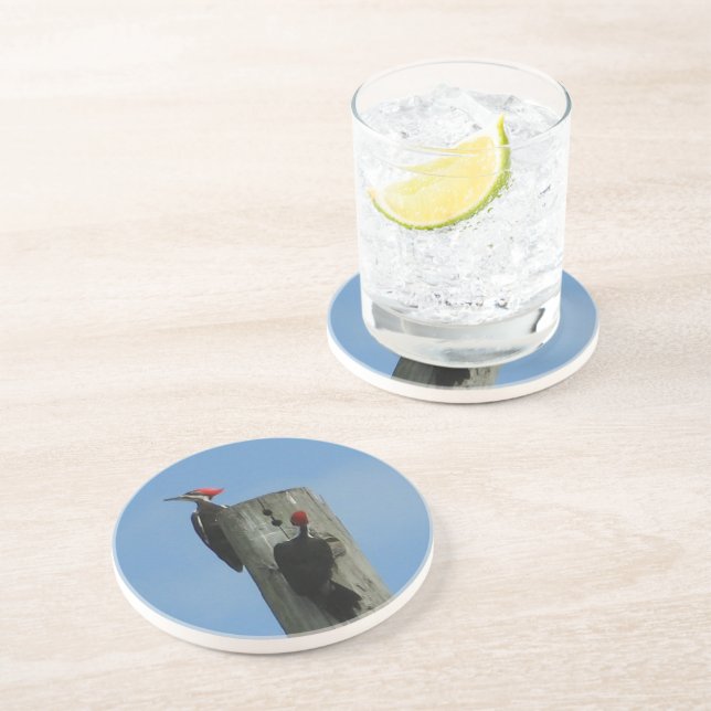 Woodpecker på en Pole Underlägg Sandsten (Sidan)