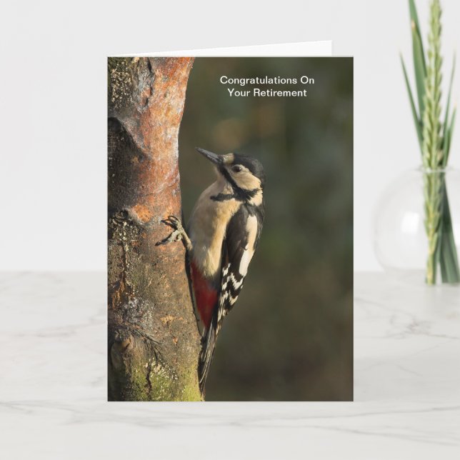 Woodpecker Pension-kort Kort (Framsida)