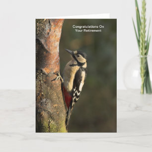 Woodpecker Pension-kort Kort