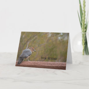 Woodpecker Photo Greeting Card Kort