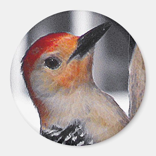 Woodpecker Porträtt Magnet (Framsidan)