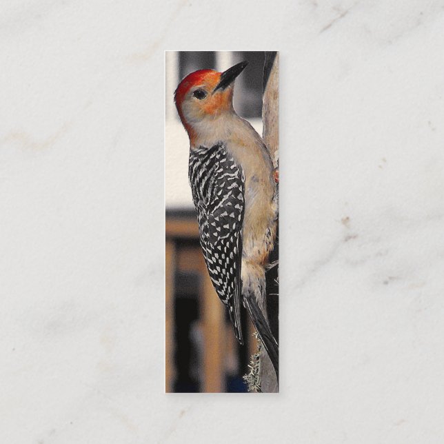 Woodpecker Porträtt Mini Visitkort (Baksida)
