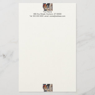 Woodpecker Porträtt Stationery Brevpapper