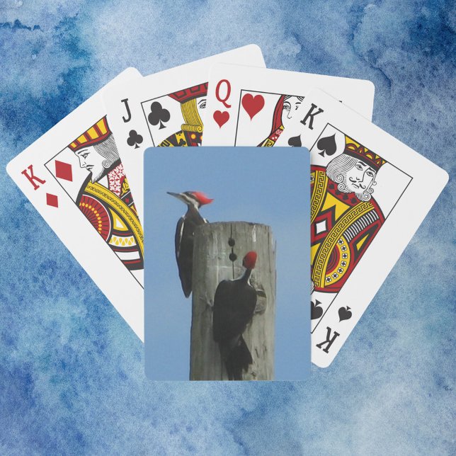 Woodpecker Poson på ett polfoto Casinokort (A deck of playing cards with a photograph of two woodpecker birds on a pole.)