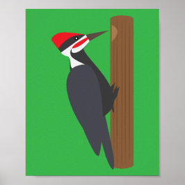 Woodpecker Poster