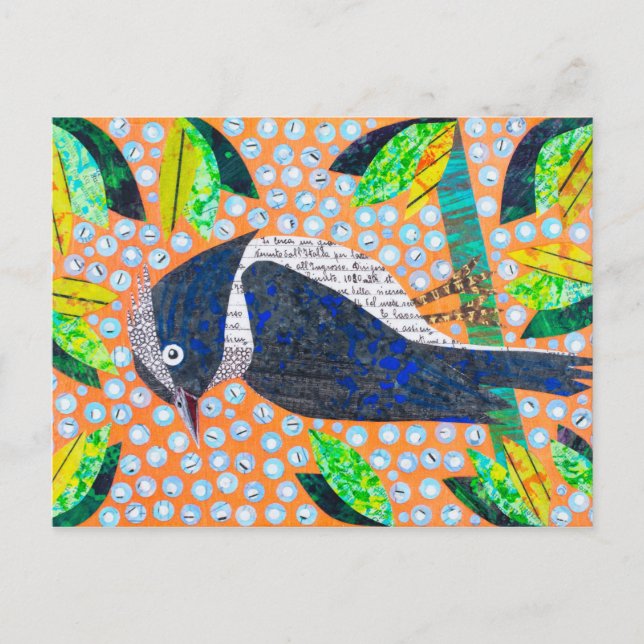 Woodpecker Vykort (Framsida)