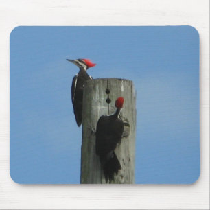 Woodpeckers Bird Mousepad Musmatta