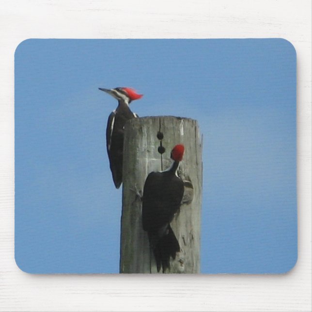 Woodpeckers Bird Mousepad Musmatta (Framsidan)