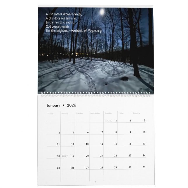 Woods Walking 2026 Calendar Kalender (Jan 2026)