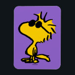 Woodstock Coola Sunglasses Mönster Magnet<br><div class="desc">Ta en titt på den här toppen söta designen med Woodstock med coola solglasögon.</div>