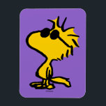 Woodstock Coola Sunglasses Mönster Magnet<br><div class="desc">Ta en titt på den här toppen söta designen med Woodstock med coola solglasögon.</div>