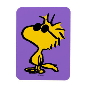 Woodstock Coola Sunglasses Mönster Magnet