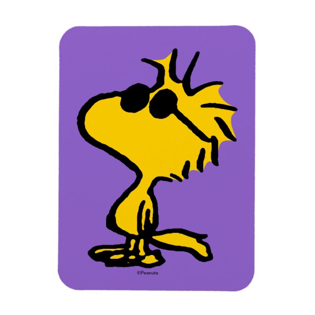 Woodstock Coola Sunglasses Mönster Magnet (Vertikal)