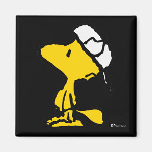 Woodstock Varsity Sports Brev Magnet