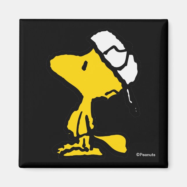 Woodstock Varsity Sports Brev Magnet (Framsidan)