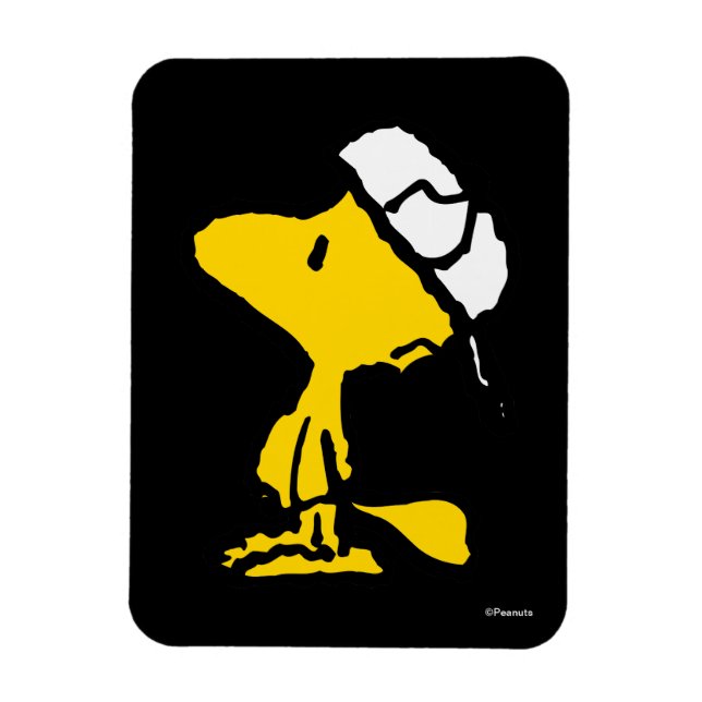 Woodstock Varsity Sports Brev Mönster Magnet (Vertikal)