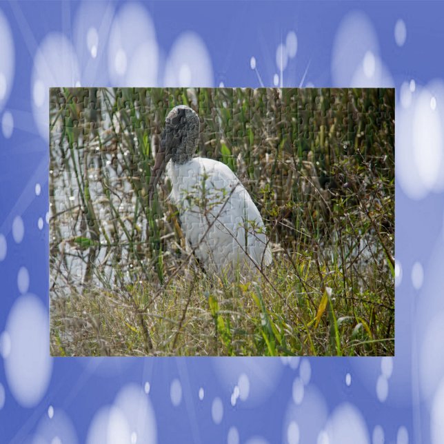 Woodstork Bird Florida Photograph Pussel (A puzzle featuring a photograph of a wood stork in wetlands.)