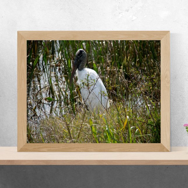 Woodstork vid Viera Wetlands Florida Photograph Poster (A poster of a wood stork enjoying some time in a marsh in Florida on a sunny day)