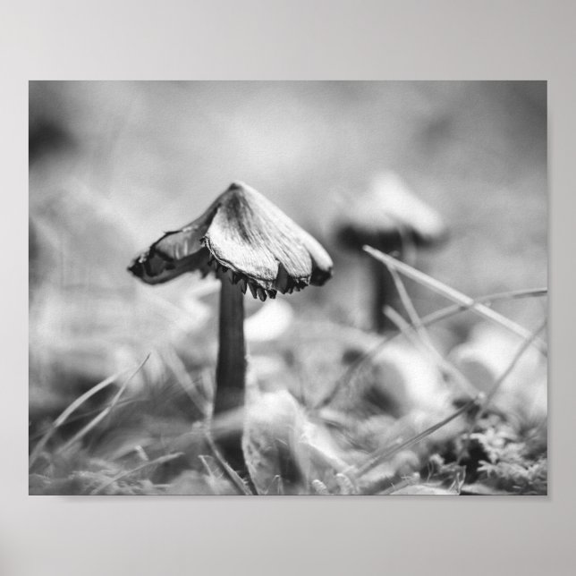 Woodsy Mushroom Black and White Nature Archival Poster (Framsidan)
