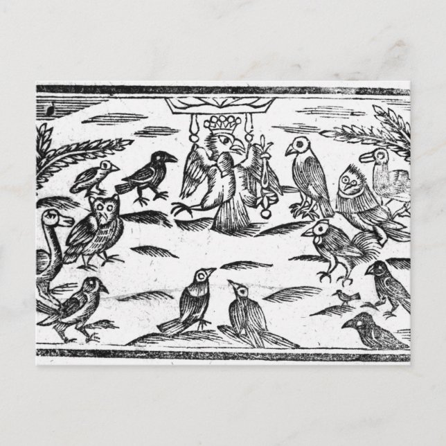 Woody Choristers eller Birds Harmony Vykort (Framsida)