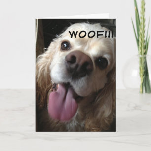 WOOF *GRATTIS PÅ FÖDELSEDAGEN* IN DOGGY LANGUAGE KORT