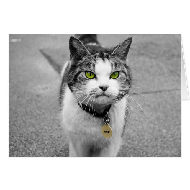 Woof Hälsningskort (Framsidan Horizontal)