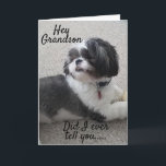 **WOOF** LYCKLIG *BIRTHDAY * MY *GRANDSON* KORT<br><div class="desc">TILL **BÄSTA GRANDSON NER*** GRATTIS PÅ FÖDELSEDAGEN OCH JAG ÄR SÅ LYCKLIG ATT DU ÄR "MY BROTHER"!!!!!! TACK FÖR ATT STOPPA AV ETT AV MINA ÅTTA LAGER!!!!</div>