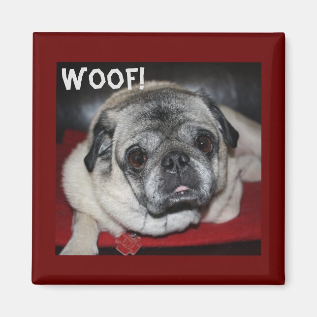 Woof, Pug Magnet (Framsidan)