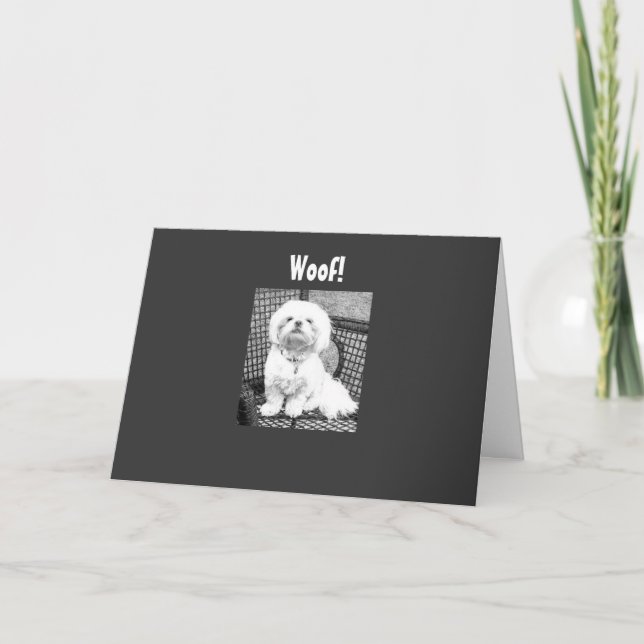 WOOF-U SER BRA UT FÖR "40" KORT (Framsida)