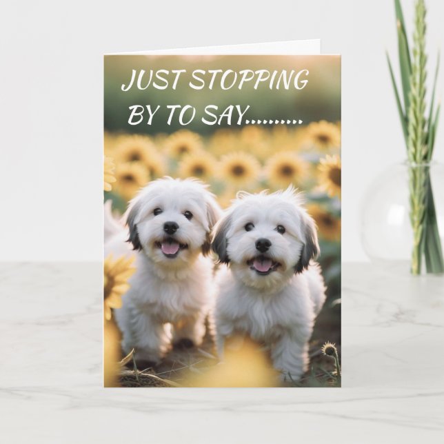 WOOF WOOF ELAK "GRATTIS PÅ FÖDELSEDAGEN" KORT (Framsida)