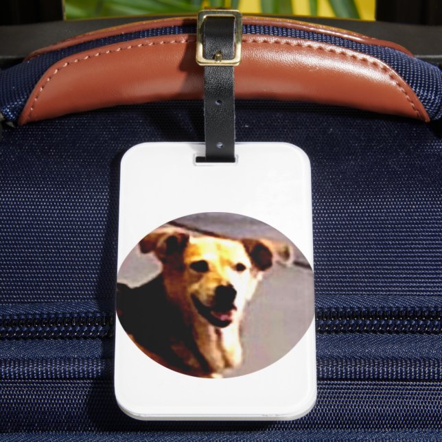 Woofs N'Wags Bagagebricka (Framsida Insitu 2)
