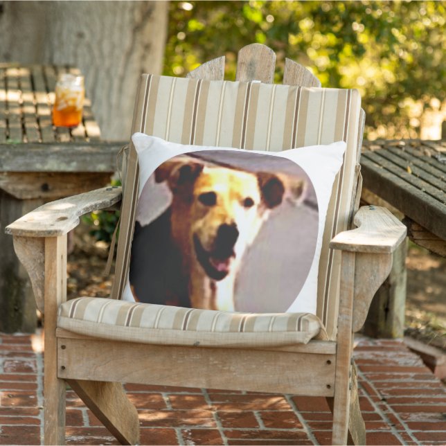 Woofs N'Wags Kudde (Stol)