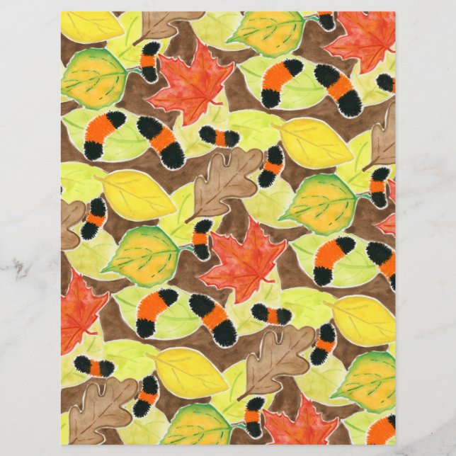 Woollybjörn (Framsida)