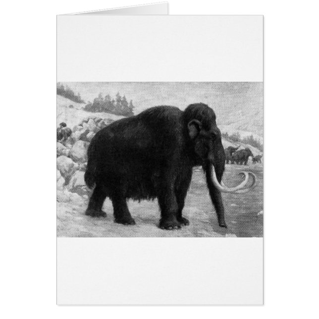Wooly Mammoth-Modet Destiny Hälsningskort (Framsidan)