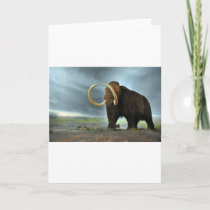 Wooly Mammoth-Modet Destiny Kort
