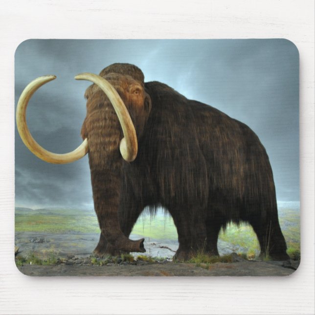 Wooly Mammoth-Modet Destiny Musmatta (Framsidan)