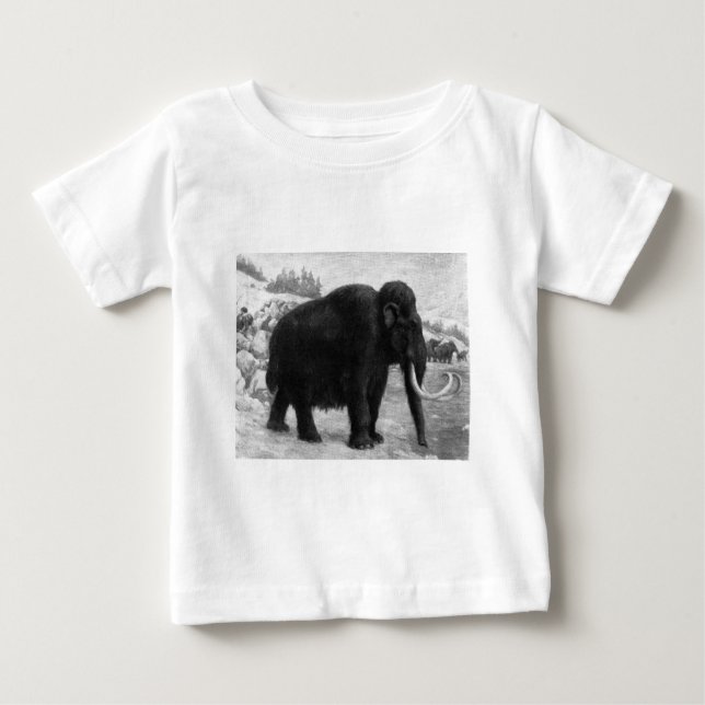 Wooly Mammoth-Modet Destiny T Shirt (Framsida)
