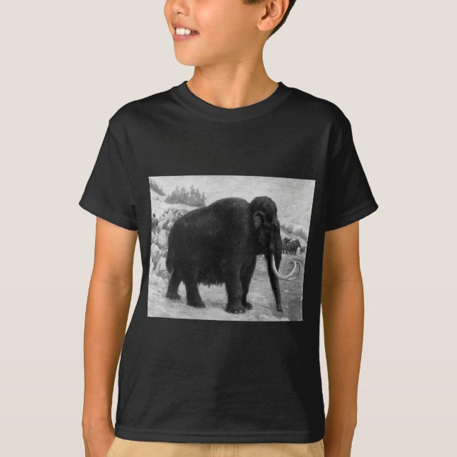 Wooly Mammoth-Modet Destiny Tee Shirt (Framsida)