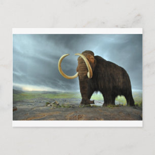 Wooly Mammoth-Modet Destiny Vykort